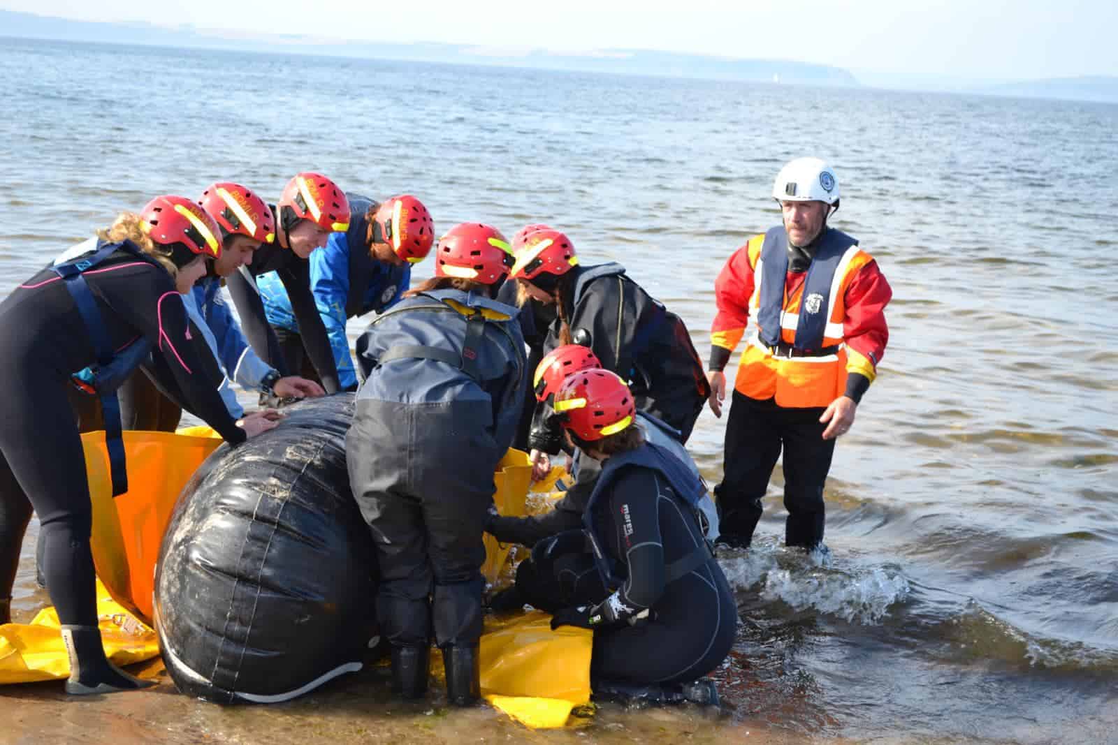 25th anniversary of Marine Mammal Medic training! - British Divers