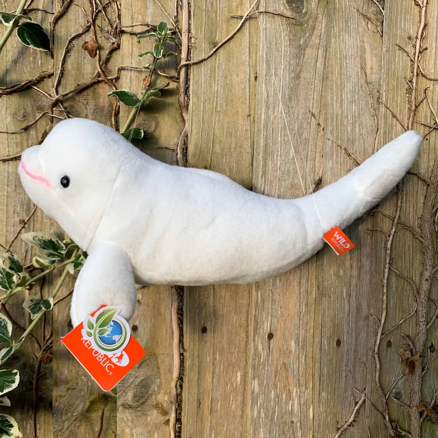 Soft toys Archives - British Divers Marine Life Rescue Soft toys Archives - British Divers Marine Life Rescue