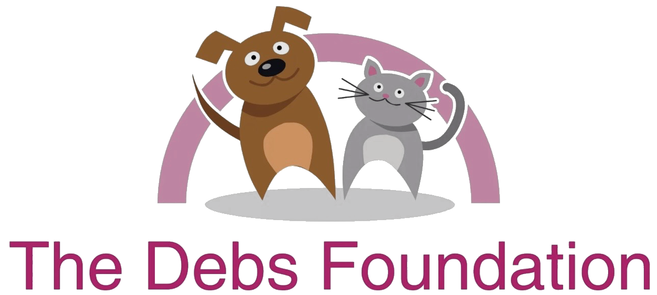 The Debs Foundation logo